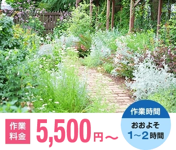 お庭の作業料金 2,000円~